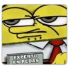 EXPERTO
EN PEDAS