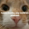 hablo mucho, soy como un podcast