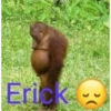 mili EST Erick 30