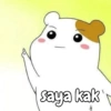 saya kak