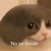 No se dividir