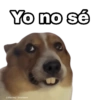 Yo no sé
@Harley Stickers