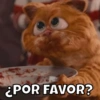 ¿POR FAVOR?