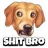 Pet reactions 10
