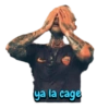 ya la cage