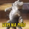 VEM NA MÃO