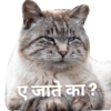 Marathi manjar 5