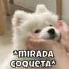 *MIRADA COQUETA*
