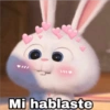 Mi hablaste