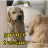 pq você
é assim?