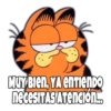 Garfield Grosero 12