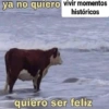 Súper Shitpost 💪😎 21