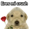 Eres mi crush Harley_Stickers