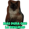 MÁS DURA Que
LA REALIDAD