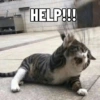 HELP!!!