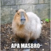 APA MASBRO