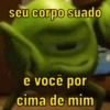 seu corpo suado
e você por
cima de mim.