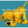 vou me curvar diante de tanta sabedoria