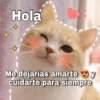 Hola Me dejarías amarte y cuidarte para siempre