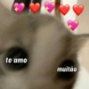 te amo muitão