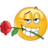Mmm 8