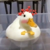 Patinho ♥️🦆 13