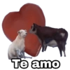 Harley Stickers
Te amo