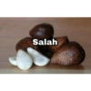 Salah
