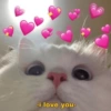 i love you-