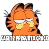 Garfield Grosero 8