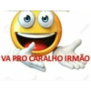 VA PRO CARALHO IRMÃO