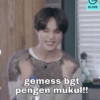 gemess bgt pengen mukul!! VLIVE