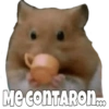 Chismesito para todos 16