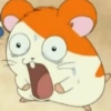 Hamtaro (2) 9