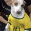 Memes do Twitter 15