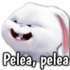 Anabelie Pelea, pelea