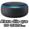 paraguayita_01
Alexa dile que
no mame...