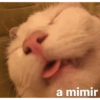 N a mimir