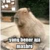yang bener aja masbro