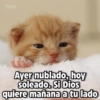 Payi
Ayer nublado, hoy
soleado. Si Dios
quiere mañana a tu lado