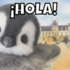 ¡HOLA!