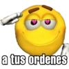 a tus ordenes