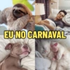 EU NO CARNAVAL