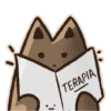 TERAPIA