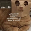 yo haciendo cualquier estupidez con tal de verte sonreír