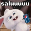 saluuuuu
isded