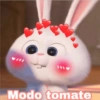 11
Geysi
Modo tomate