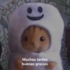 SX Muchas tardes buenas gracias