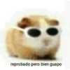 reprobado pero bien guapo