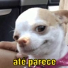 ate parece